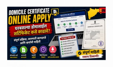 Domicile Certificate Online Apply: घरबसल्या डोमासाईल सर्टिफिकेट कसे काढावे? संपूर्ण प्रक्रिया, लागणारी कागदपत्रे आणि खर्चाची माहिती