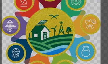 'प्रशासक'राजच्या चक्रात रुतली गावगाड्यातील विकासाची 'गती' : कशी  ते पहा!