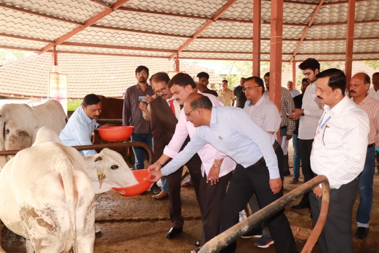 Cow-Tourism Centre :-  देशी गाईंचा प्रचार व प्रसारासाठी पुणे येथील देशी गाय संशोधन केंद्रात लवकरच गो-पर्यटन केंद्र सुरू होणार! 
