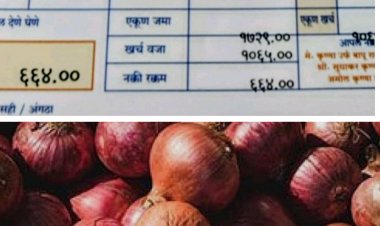 Onions brought tears to the eyes of farmers : शेतकऱ्याला साडेसात क्विंटल कांद्याच्या विक्रीतून मिळाले फक्त ६६४ रूपये! 