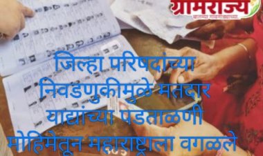 Maharashtra excluded from verification of voter lists (SIR)due to Zilla Parishad elections : जिल्हा परिषदांच्या निवडणुकीमुळे मतदार याद्यांच्या पडताळणीतून महाराष्ट्राला वगळले! 