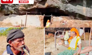 Tribal family living in a cave : ना घर, ना दार, ना शेतीवाडी, तरीही ५० गावरान गाईंच्या संवर्धनासाठी चक्क डोंगराच्या गुहेत राहून आयुष्य जगतेय वयोवृद्ध आदिवासी कुटुंब! 