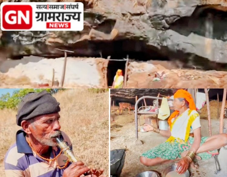 Tribal family living in a cave : ना घर, ना दार, ना शेतीवाडी, तरीही ५० गावरान गाईंच्या संवर्धनासाठी चक्क डोंगराच्या गुहेत राहून आयुष्य जगतेय वयोवृद्ध आदिवासी कुटुंब! 